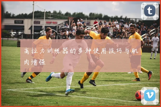 高拉力训练器的多种使用技巧与肌肉增强