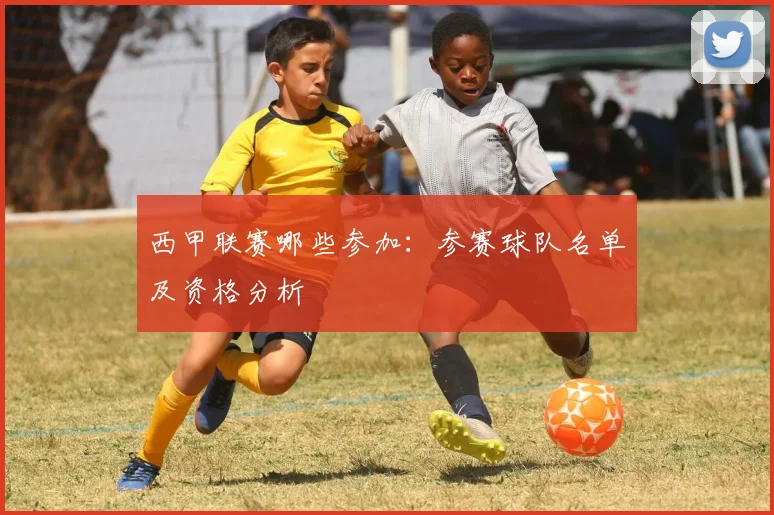 西甲联赛哪些参加:参赛球队名单及资格分析