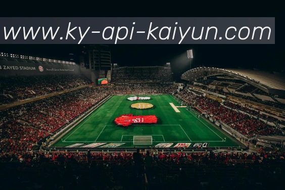 App Interface Preview